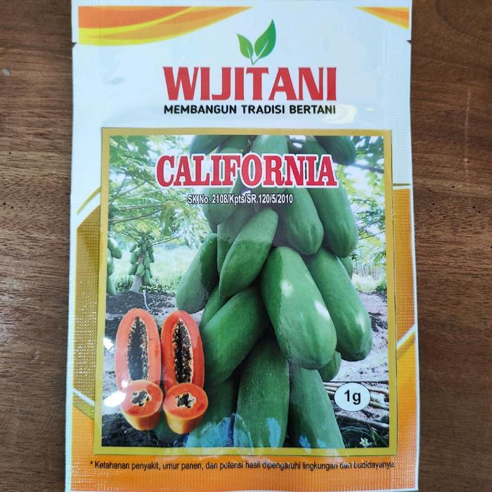 Merayakansenja Benih Pepaya California Kemasan Pabrik Wijitani Berat Bersih 1 Gram Perkiraan Isi 60