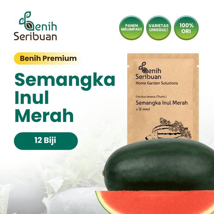 200 Benih Buah Semangka Inul Merah Jumbo F1 Hibrida Premium - Benih Seribuan