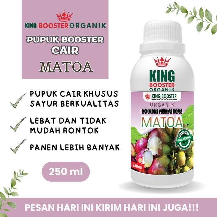 Pupuk Matoa Cair 250ml Pelebat dan Booster Buah Matoa Pupuk Matoa Cepat Berbuah Lebat Pupuk Khusus