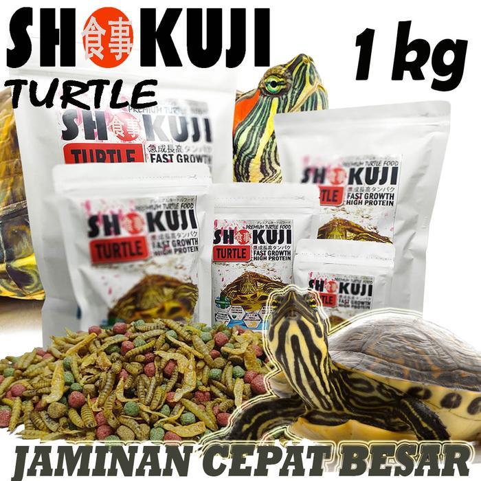 1KG SHOKUJI PELET RES BRAZIL MAKANAN TURTLE'S FOOD PIPUT CST PAKAN KURA-KURA AIR BRASIL RAZOR PICTA