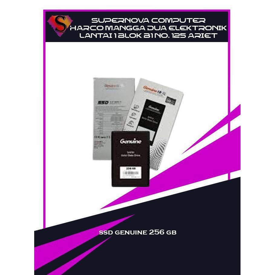 TERLARIS Genuine SSD 256 GB SATA III 6Gb/s High Speed 3D NAND Synchronous Flash Dengan SLC Caching &