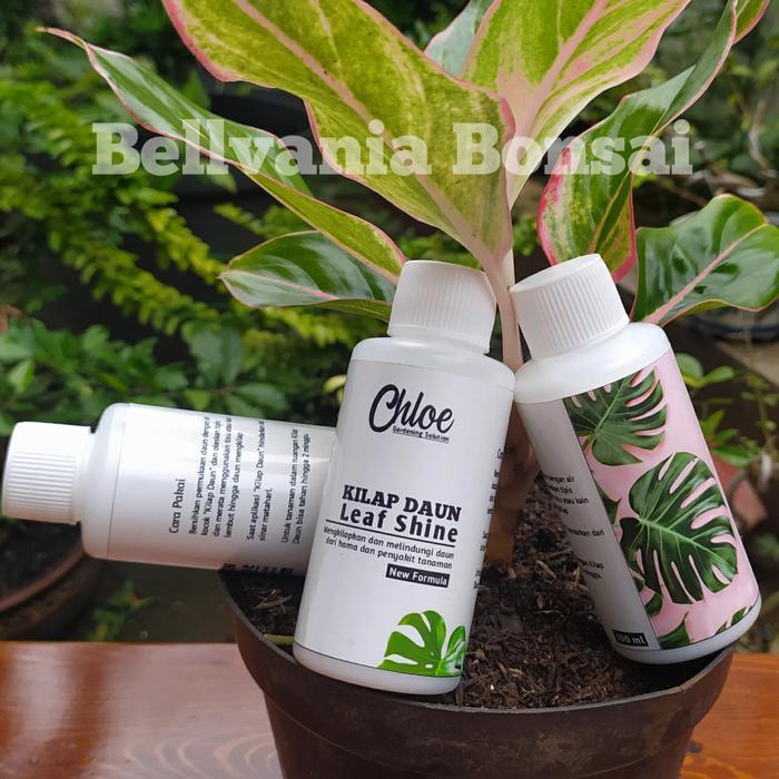 BISA COD Kilap Daun Oles Leaf Shine Pengkilap Dan Pelindung Daun