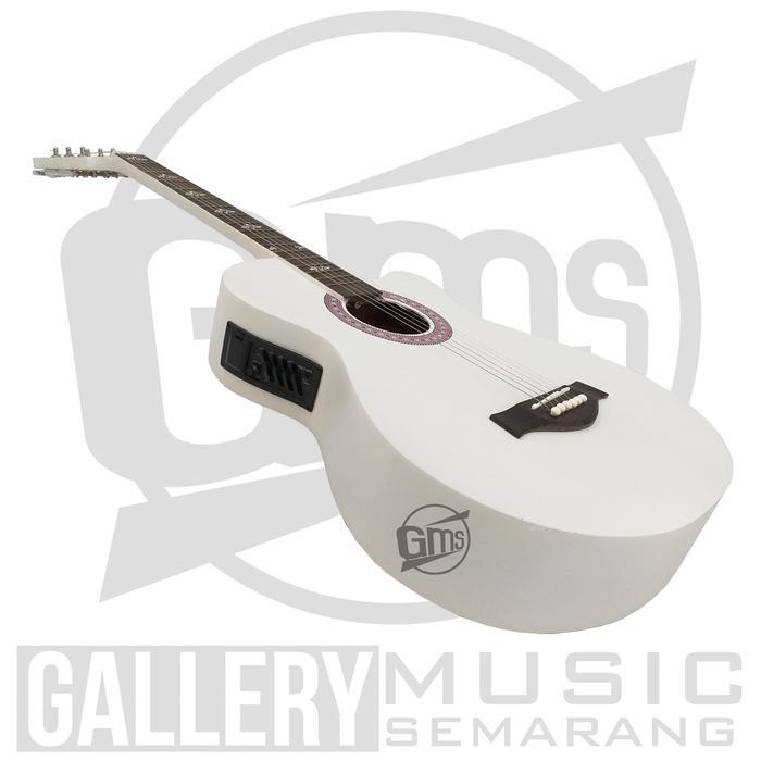 Gitar Akustik Elektrik Taylor Custom Tanam Besi (TT)