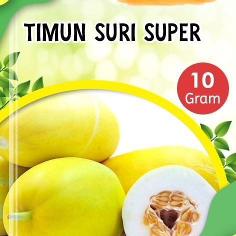 Benih timun suri super 10 gram / bibit benih tanaman timun suri unggulan