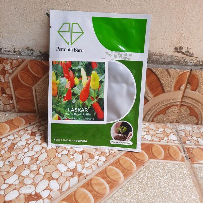 Benih Bibit Cabai Rawit Putih Prentul Laskar 10 gram Produk Permata Baru Bibit Benih Cabe Rawit