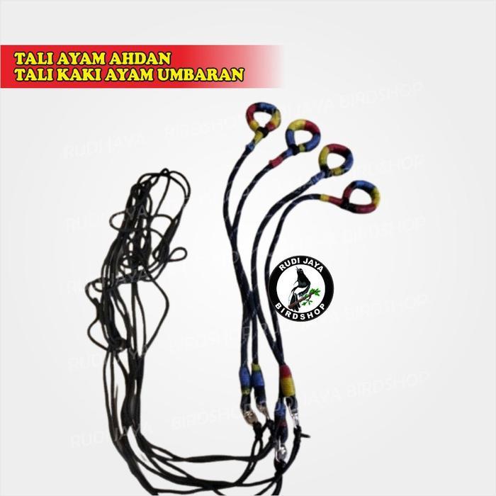 TALI AYAM AHDAN TALI KAKI AYAM UMBARAN MURAH TALI JEMUR AYAM AYAM JANTAN ADUAN PANJANG 1.5 METER