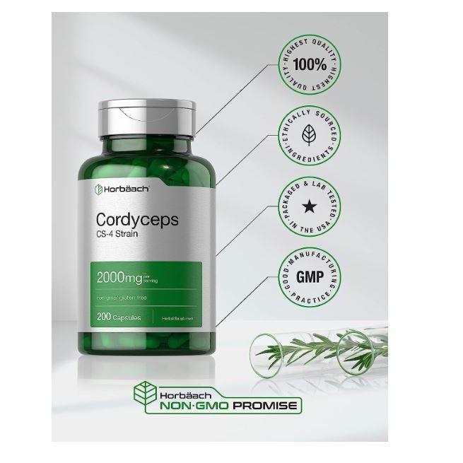 Cordyceps 2000mg 200 cap Mushroom Supplement Cordyceps Militaris