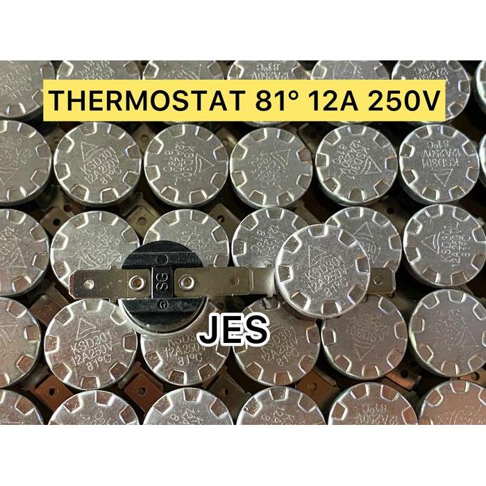 THERMOSTAT 81 12A 250V