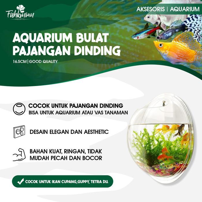 Terlaris Aquarium Akrilik Dinding Bulat 16,5Cm