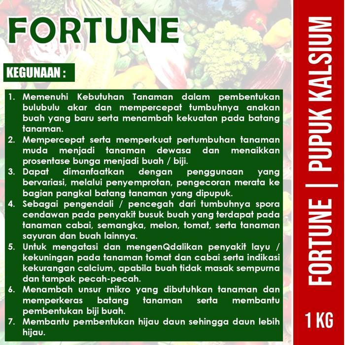 1 kg FORTUNE pupuk kalsium penyakit kuning keriting rontok cabe - Pupuk Kalsium Untuk Tanaman cabe
