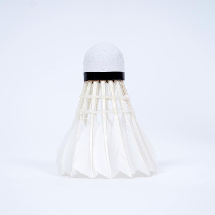 Flypower Blue Shuttlecock Badminton Kok Bulutangkis