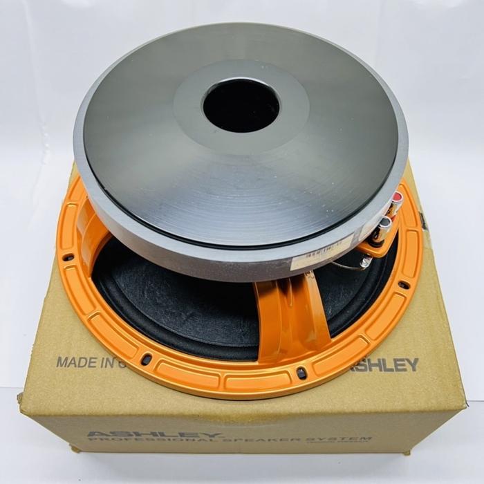 Speaker 10Inch Ashley Mf1030