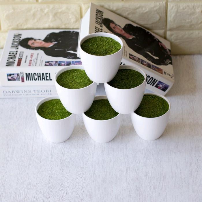 Grosir Promo Paket Hemat 6Pcs pot bulat sudah ada busa dan rumput / pot unik / pot lucu / pot