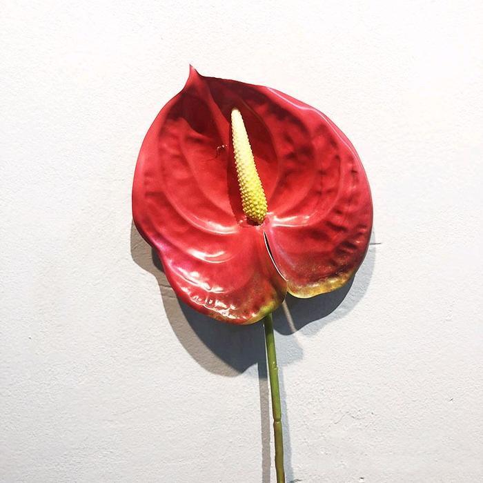 Bunga Anthurium Artificial Latex Warna Merah Ukuran Besar