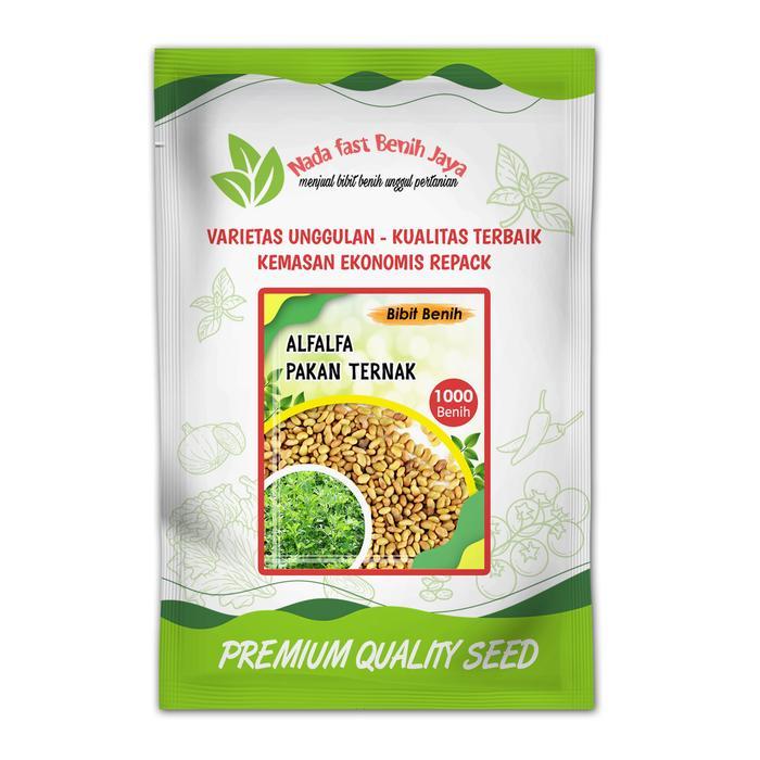 5 Pack benih alfalfa - benih pakan ternak benih tanaman alfalfa