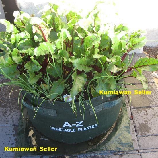 Merayakansenja Vegetable Planter - Pot Sayuran - Pot Bunga - Planting Bags-Easy Grow