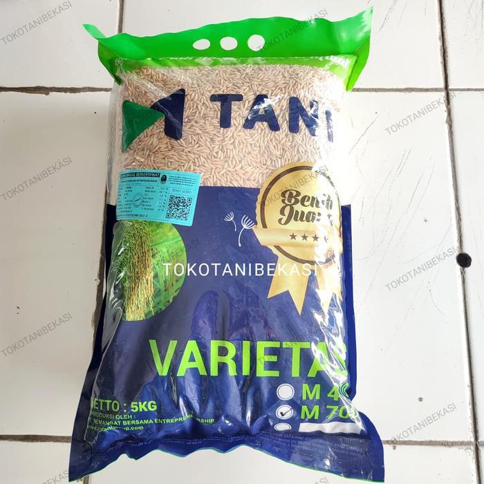 Benih Bibit Padi M TANI VARIETAS Inpari 32 / M70D Berat Kemasan 5 Kg