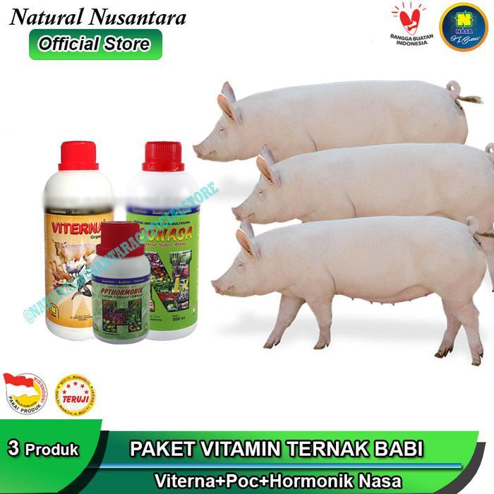 VITAMIN PENGGEMUK BABI SATU PAKET VITERNA HORMONIK POC NASA