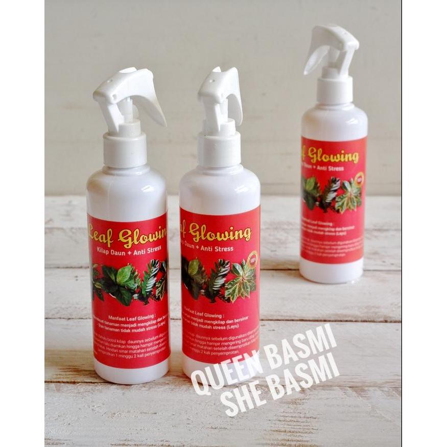 BISA COD Leaf Glowing Pengkilap Daun 250ml Semir Daun Anti Debu, Daun Mengkilap