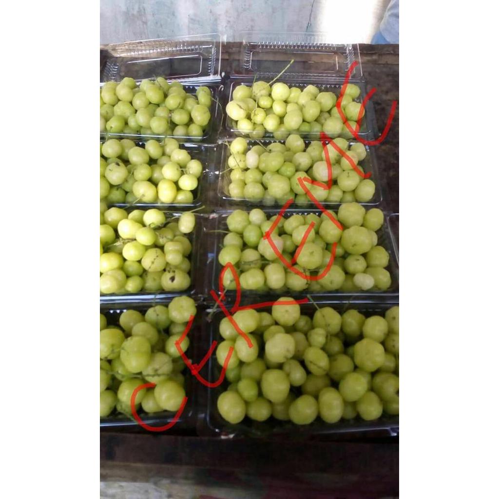 Buah Cermai Permika