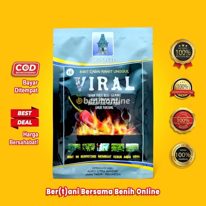 Merayakansenja Benih Cabe Rawit Merah - Viral - 10 Gram - Rawit Putih - Rawit Setan Sigantung Carika