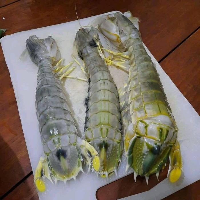 TERLARISSSS Udang 1Kg / Udang Segar / Udang Ronggeng 1Kg / Udang Ronggeng Segar / Udang Mantis /