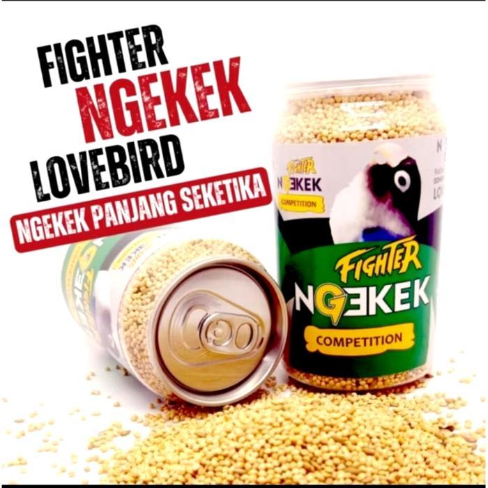 NGEKEK LOVEBIRD PAKAN BURUNG LOVEBIRD NGEKEK KONSLET