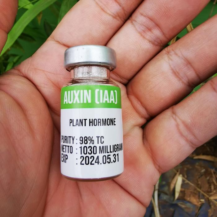 BISA COD Hormon Auxin Auksin IAA Murni Serbuk Powder Botol Vial Steril Pelarut