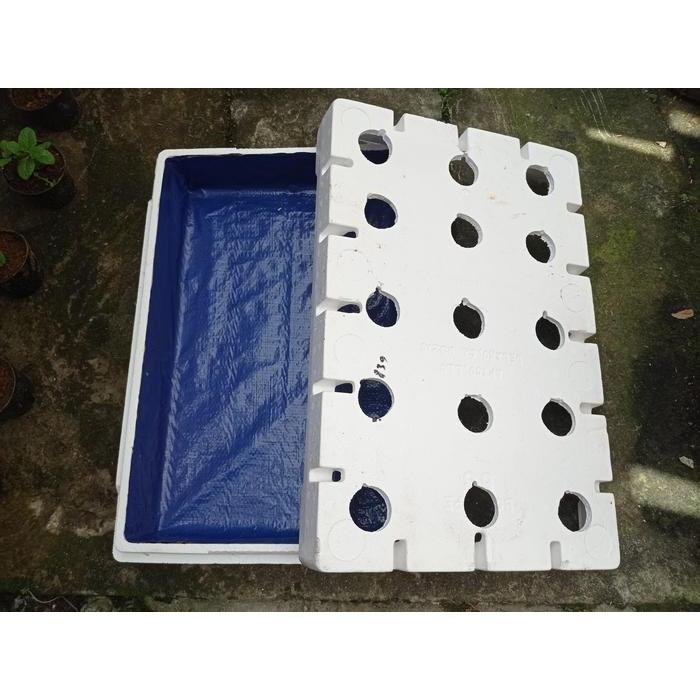 Styrofoam Box Bekas Anggur untuk Media Tanam Hidroponik dengan Tutup