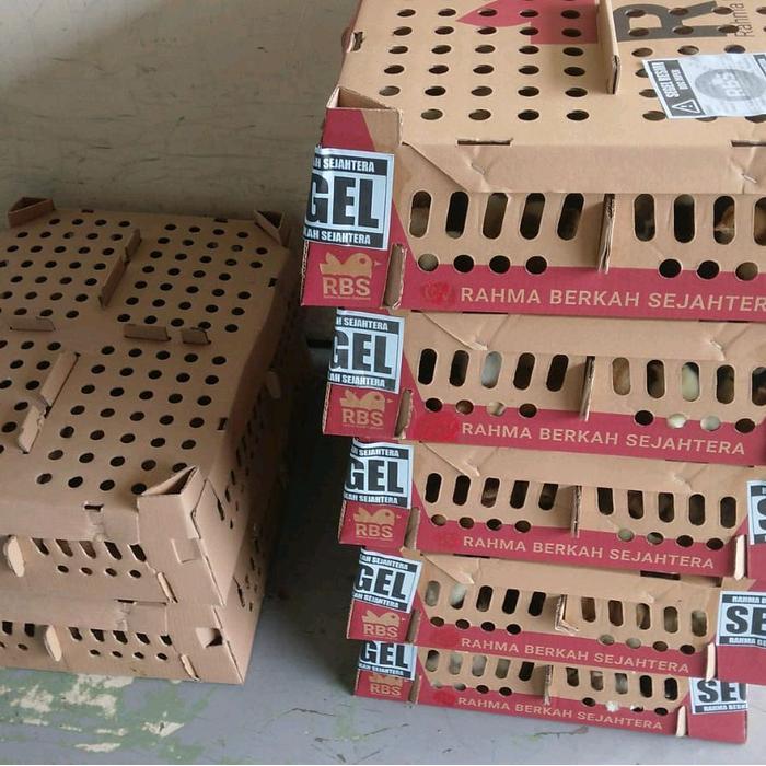 TERJAMIN Box Doc Ayam Kampung Asli
