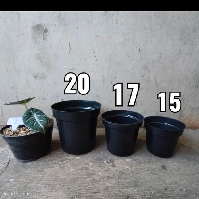 Pot Tinggi Srondol Putih, Hitam, pot tinggi murah, pot 20, 17, 15