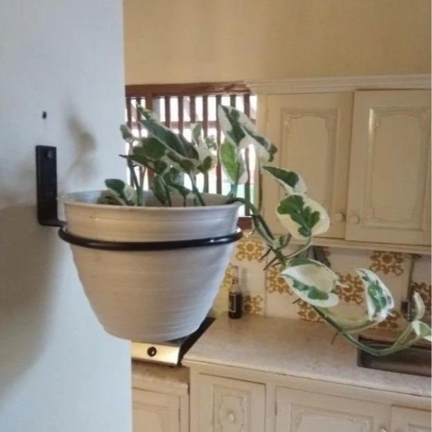 NEW Pot Basket Dinding Rak Pot Dinding / Pot Dinding / rak bunga dinding / rak bunga / Gantungan