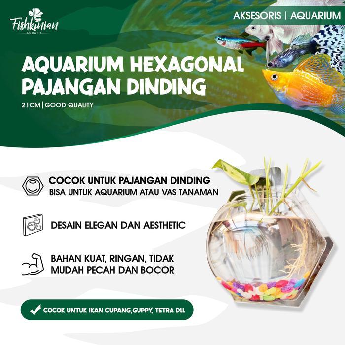 Terlaris Aquarium Akrilik Dinding Hexagonal 21Cm