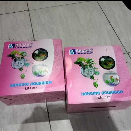 Aquarium tempel / Aquarium dinding
