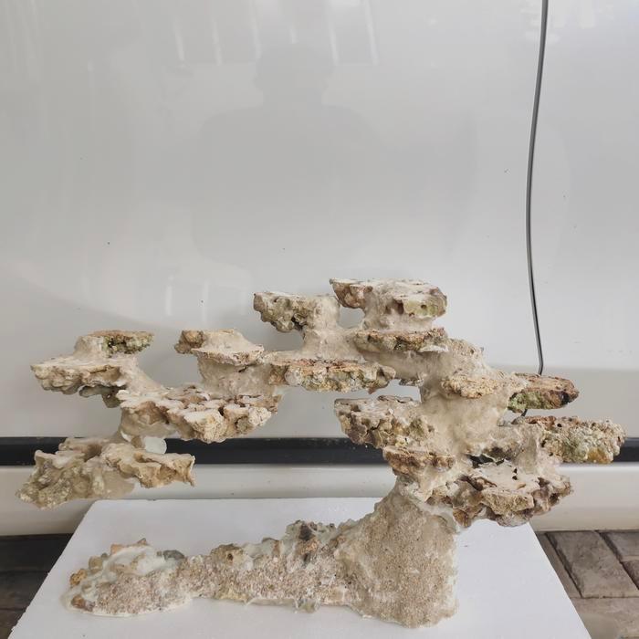 DISKON Scaping deadrock model