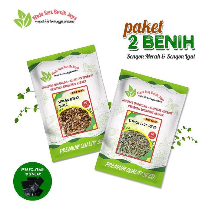 Benih macam sengon Paket Benih Sengon Laut dan Sengon Merah Bonus Polybag untuk Penghijauan macam be