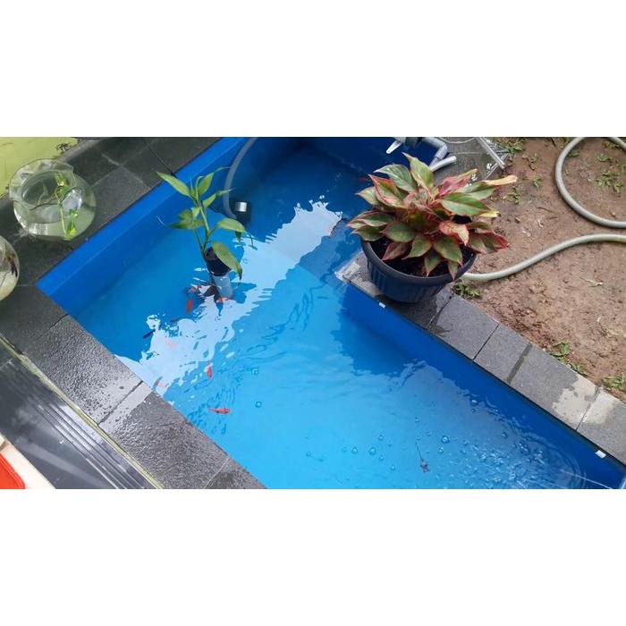 NEW Cat Kolam INDEKS