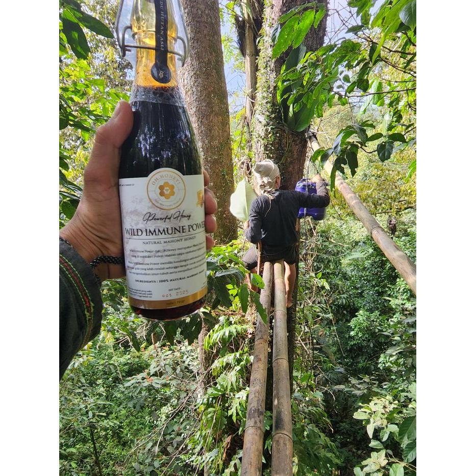 Wild Immune Power / Madu Hutan Alami 100% Asli ( Madu Pohon Mahoni )