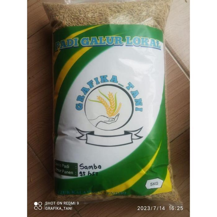 Merayakansenja Benih Padi Srikandi Jumbo Original 5Kg