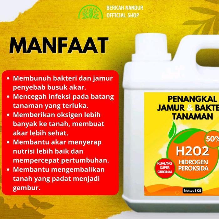Fungisida Patek Kualitas Super No 1 Original Fungisida Tanaman Kadar 50% Untuk Patek Cabe Berkah