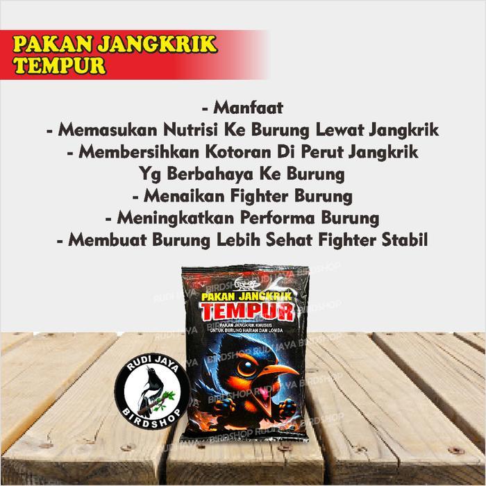 TEMPUR PAKAN JANGKRIK ULAT ULER UNTUK EXTRA FOODING PAKAN MAKANAN BURUNG MURAI KACER CENDET WAMBI