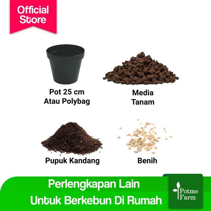 Pupuk ZA