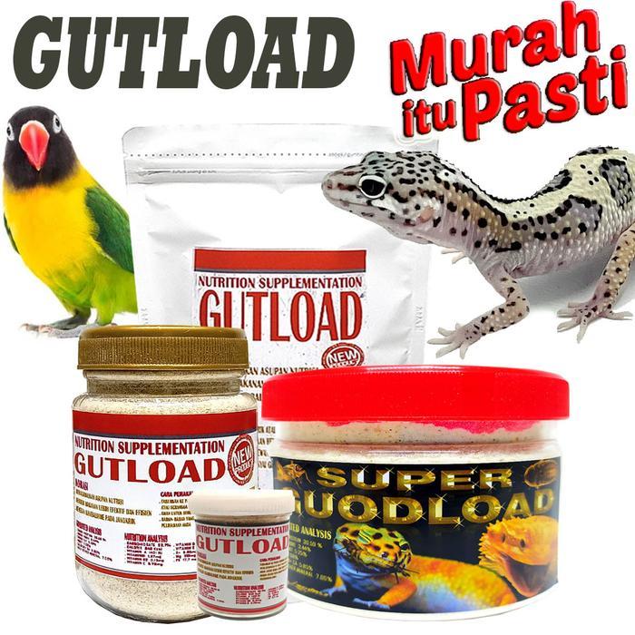 READYY GECKO GUTLOAD PENGGEMUK REPTILE VITAMIN JANGKRIK KECOA DUBIA MADAGASKAR BELALANG PAKAN