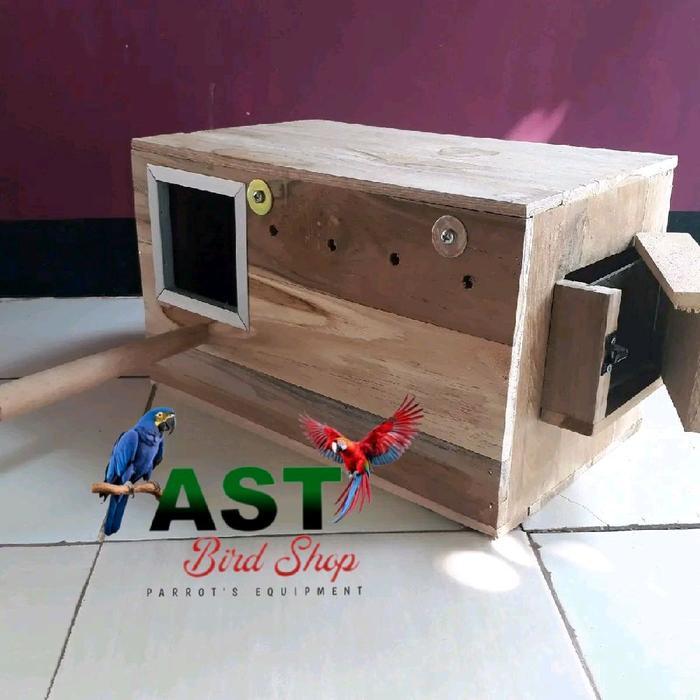 Glodok Kotak Kayu Jati untuk Burung Sun Conure Nuri Ukuran 40x24x24 cm Lubang 10x10 cm