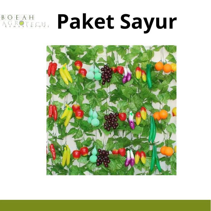 Bibit Tanaman Sayur Paket Bibit Tanaman Sayur Isi 4 Pilihan Jenis Rimbun Sayur Isi 4 Kondisi Rimbun 