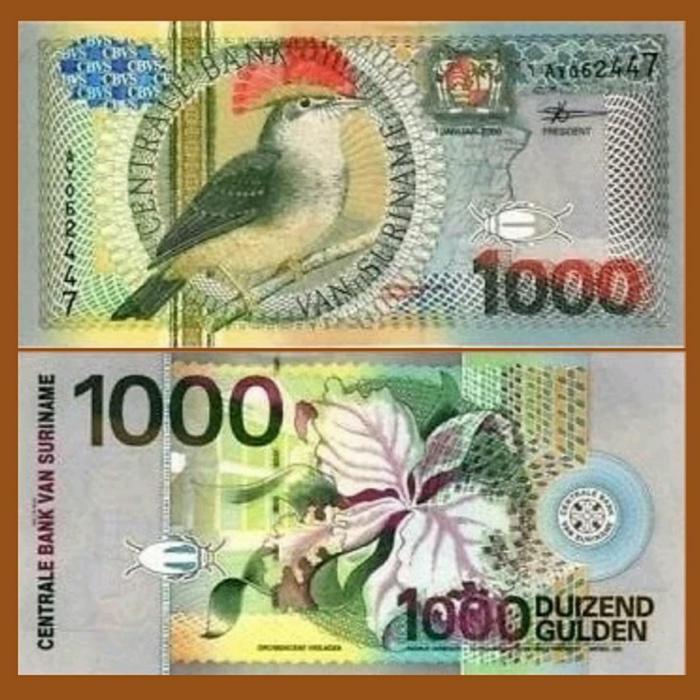 Suriname 1000 Gulden 2000 Millennium Fly Catcher Bird