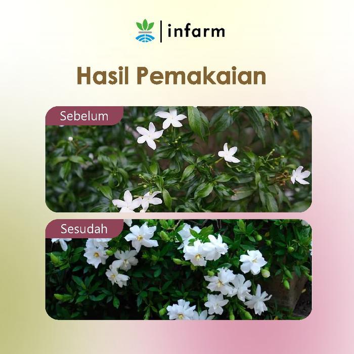 Infarm - Pupuk Organik Cair Tanaman Bunga 100 Ml Poc Kompos Melebatkan Bunga Pupuk Infarm Pupuk