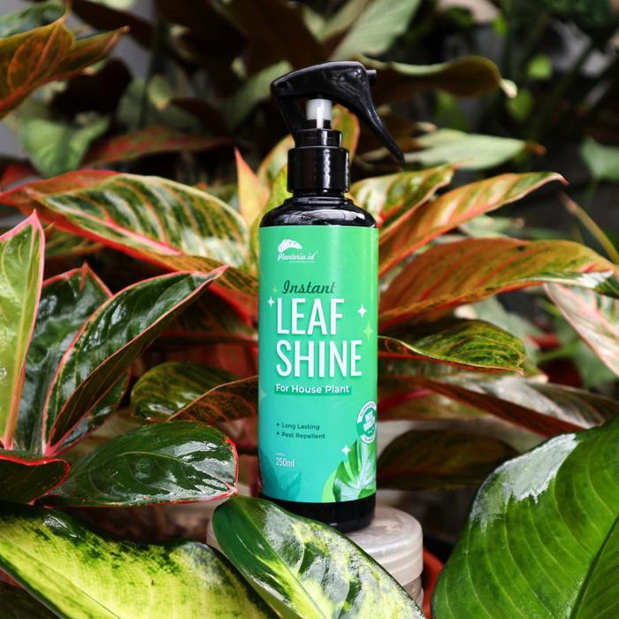BISA COD Leaf Shine Kilap Daun Spray 250ml Tanaman