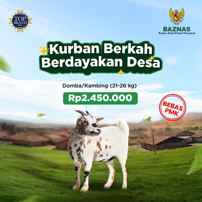 BAZNAS - Kurban Kambing / Domba Standar