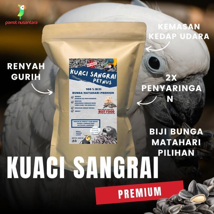 KUACI KWACI SANGRAI BURUNG PARROT MURAH GROSIR